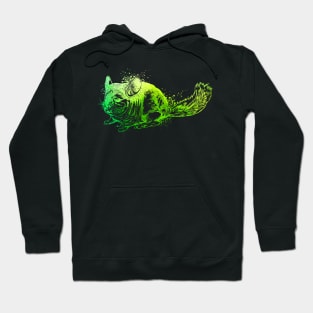 Colorful chinchilla Hoodie